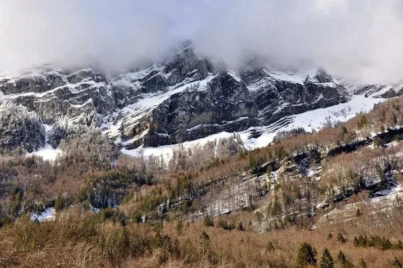 Forest and landscape view on the Tour Des Glaciers Vanoise