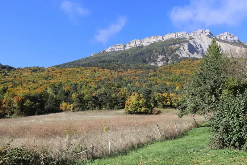 Forest and landscape view on the Tour Mont Bego
