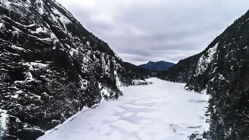 Hiking trail path on the Trail Cedars Avalanche Lake