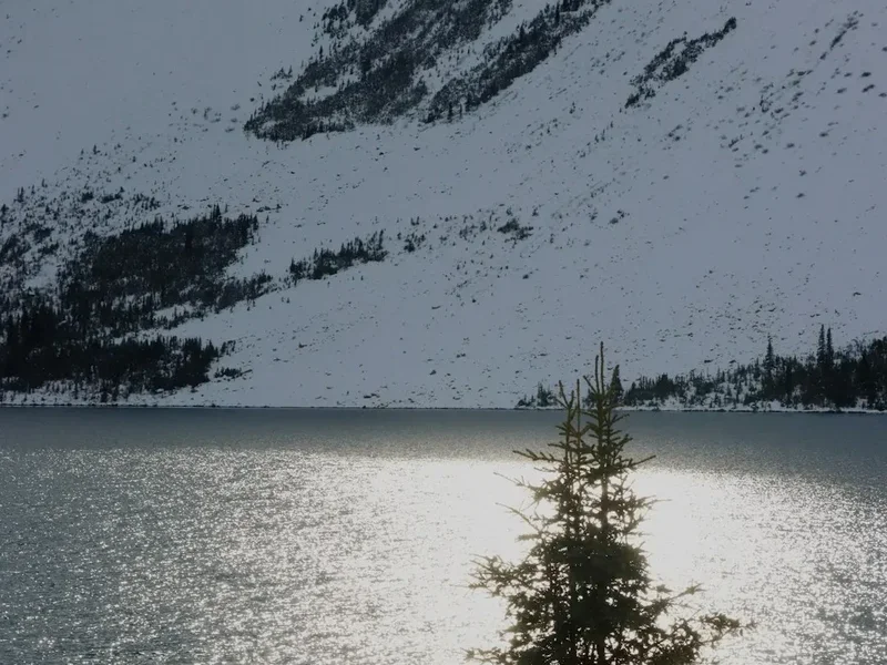 Avalanche Lake via Trail of the Cedars - Visual 2