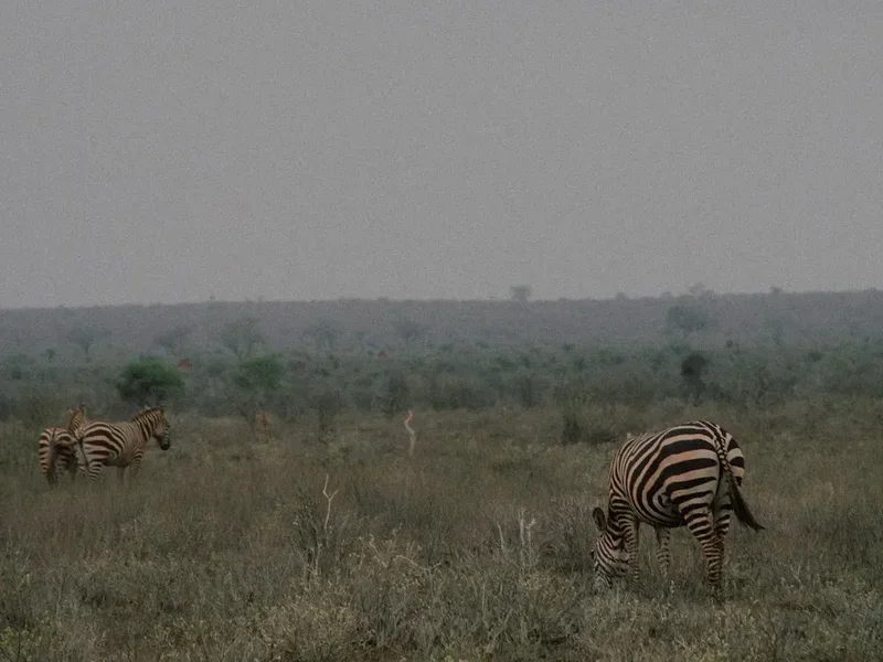 Hiking trail path on the Tsavo East Safari Walk