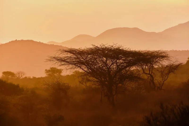 Forest and landscape view on the Tsavo East Safari Walk