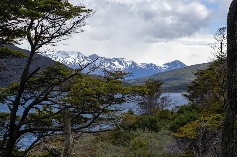Mountain and nature scenery on the Ushuaia To Cabo San Pablo Trek