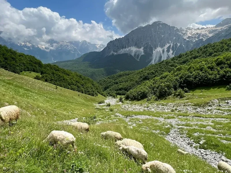 Forest and landscape view on the Valbona To Theth