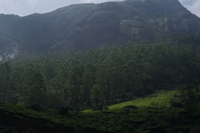 Forest and landscape view on the Velliangiri Hills Trek