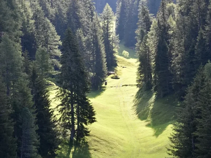 Forest and landscape view on the Via Francigena