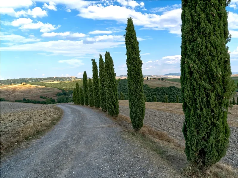 Hiking trail path on the Via Francigena Tuscany