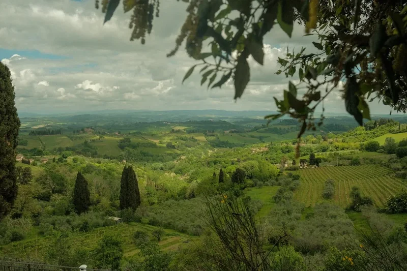 Forest and landscape view on the Via Francigena Tuscany