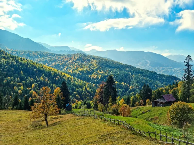 Forest and landscape view on the Via Transilvanica