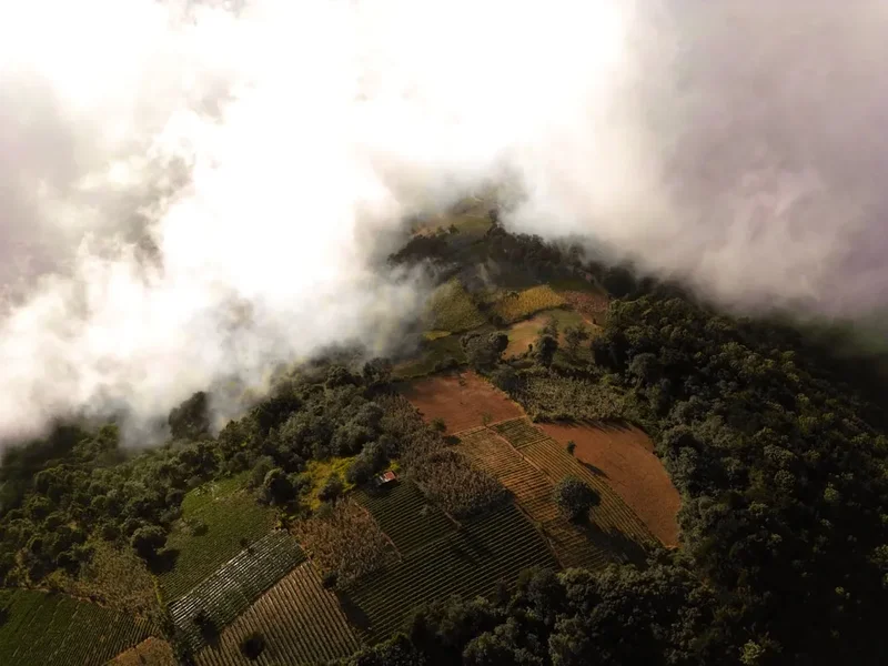 Forest and landscape view on the Volcan Tajumulco Summit Trail