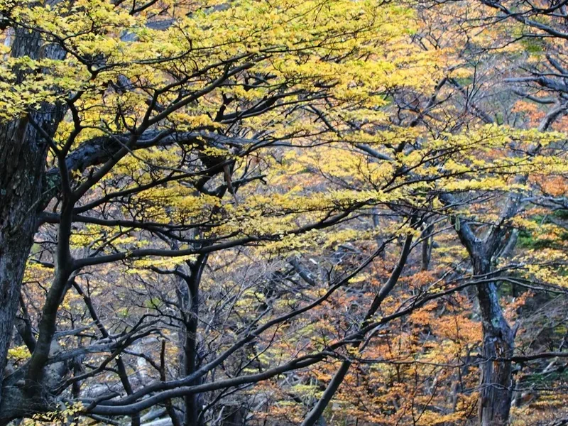 Torres del Paine W Trek - Visual 1