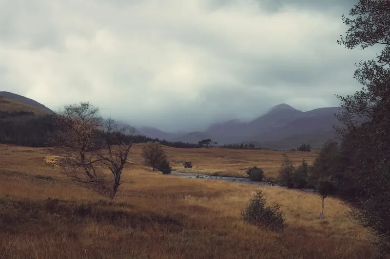 Mountain and nature scenery on the West Highland Way