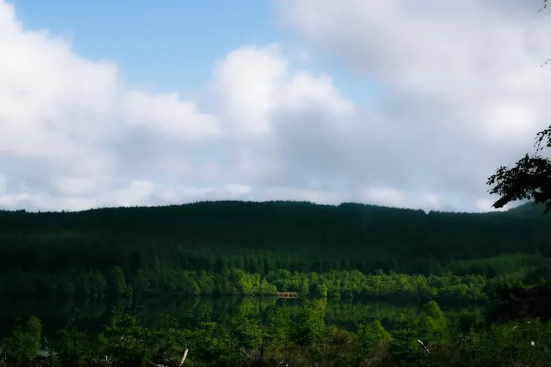 Forest and landscape view on the West Highland Way