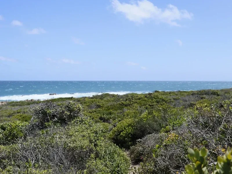 Hiking trail path on the Whale Trail