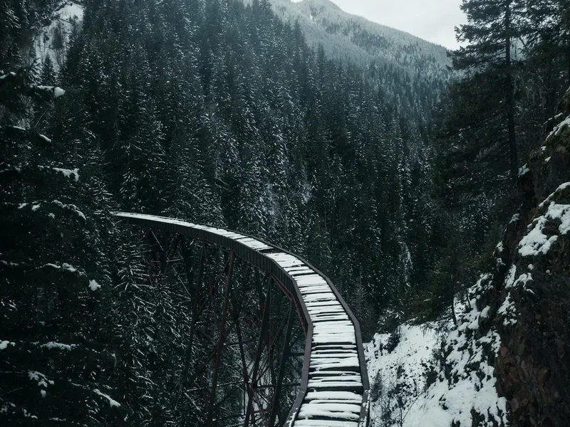 Hiking trail path on the Whistler Train Wreck Trail