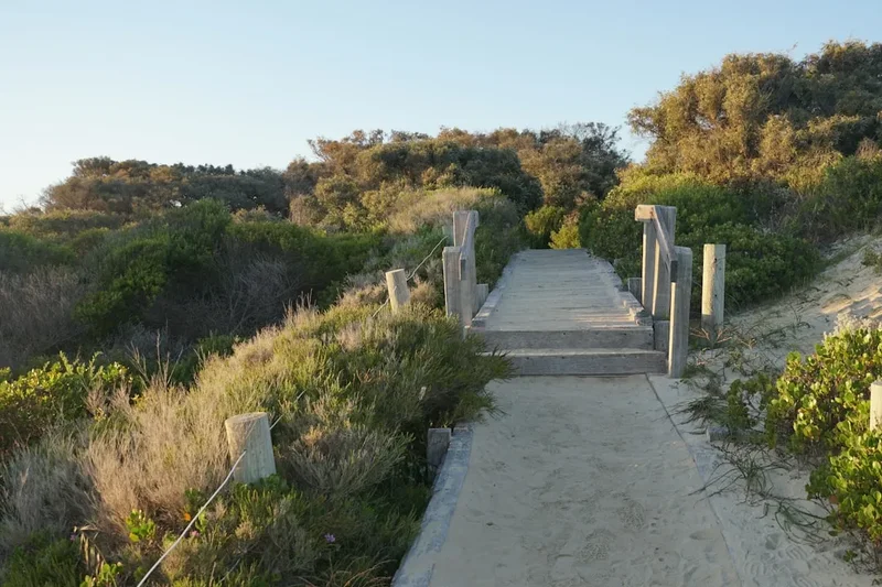 Hiking trail path on the Whitehaven Beach Trail
