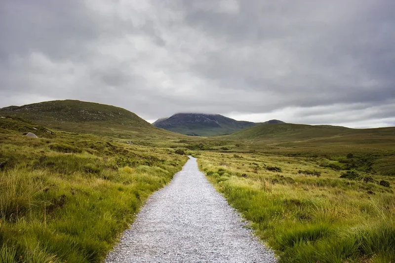 Hiking trail path on the Wicklow Way