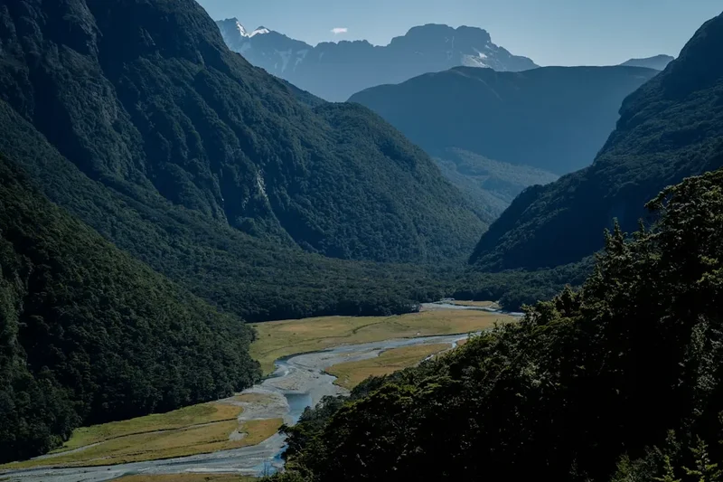 Mountain and nature scenery on the Wye Creek Track