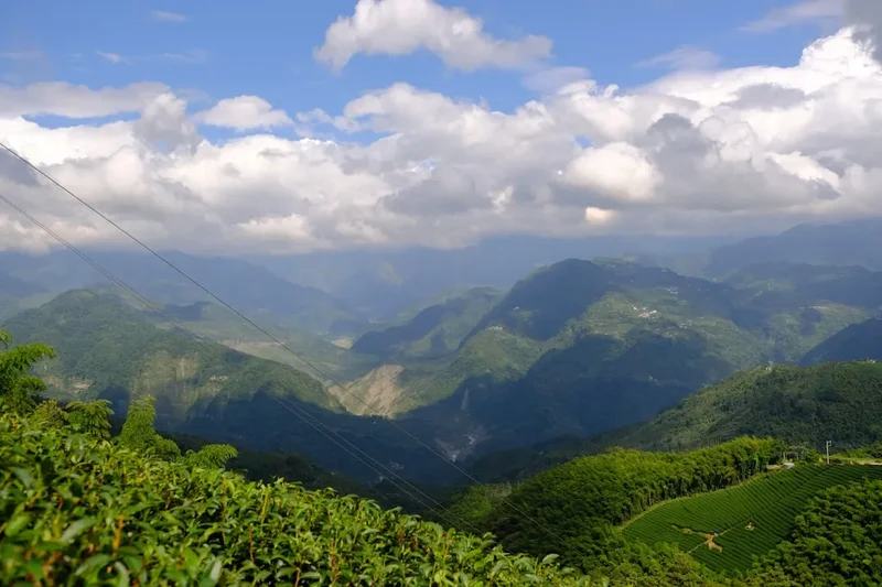 Forest and landscape view on the Yushan Trail
