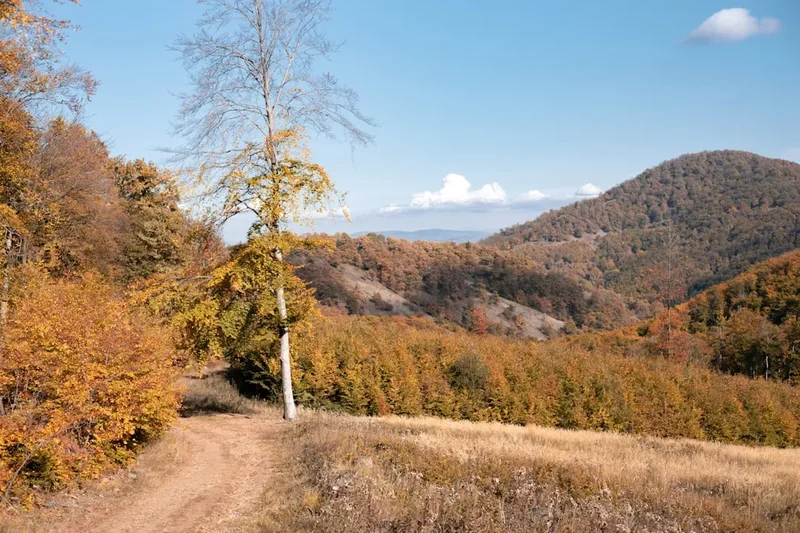 Zalakaros Coastal Path - Visual 1