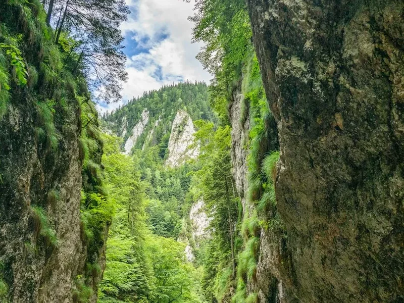 Hiking trail path on the Zarnesti Curmatura Trail