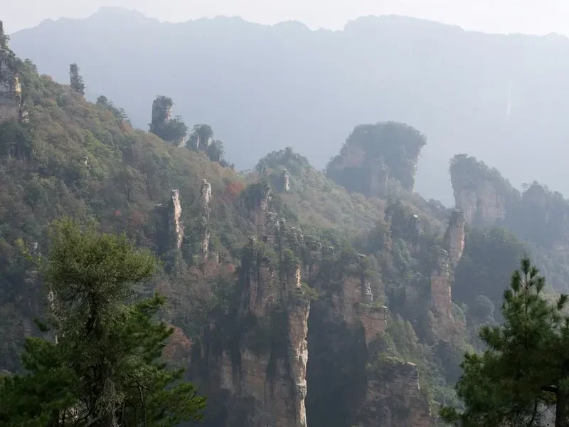 Forest and landscape view on the Zhangjiajie National Forest Trail