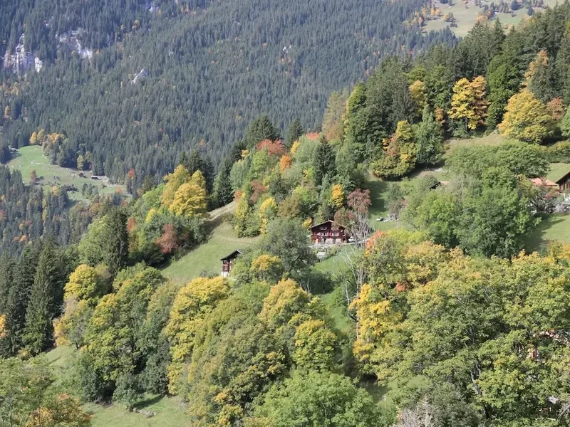 Forest and landscape view on the Zinal To Gruben