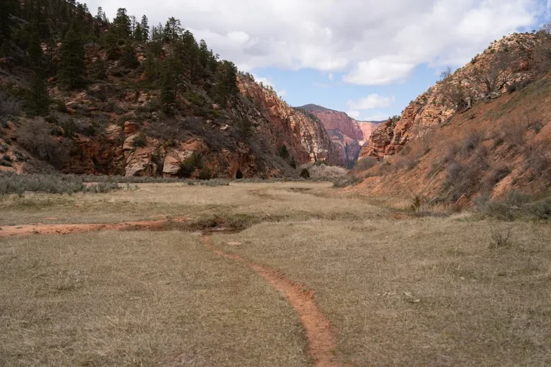 Mountain and nature scenery on the Zion Canyon Overlook