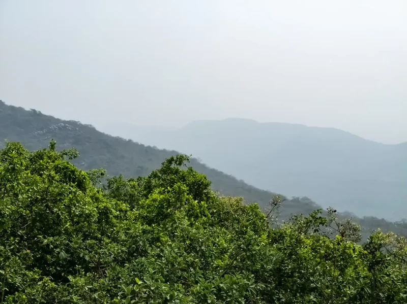 Mountain and nature scenery on the Ziro Valley Trail