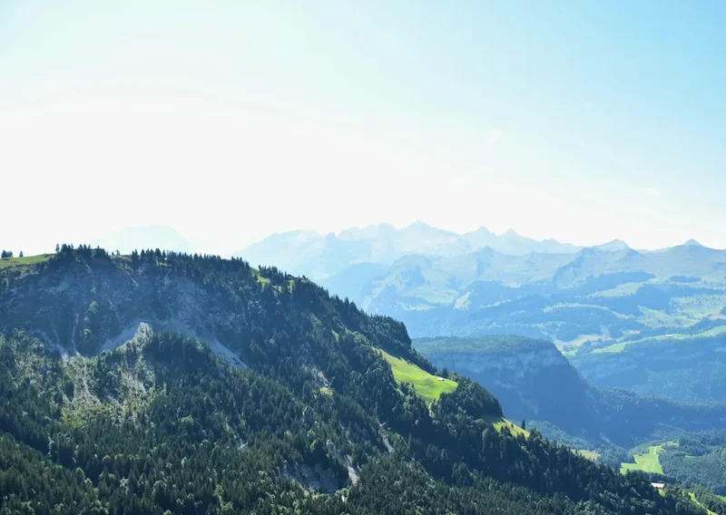 Forest and landscape view on the Zugerberg Panorama Trail