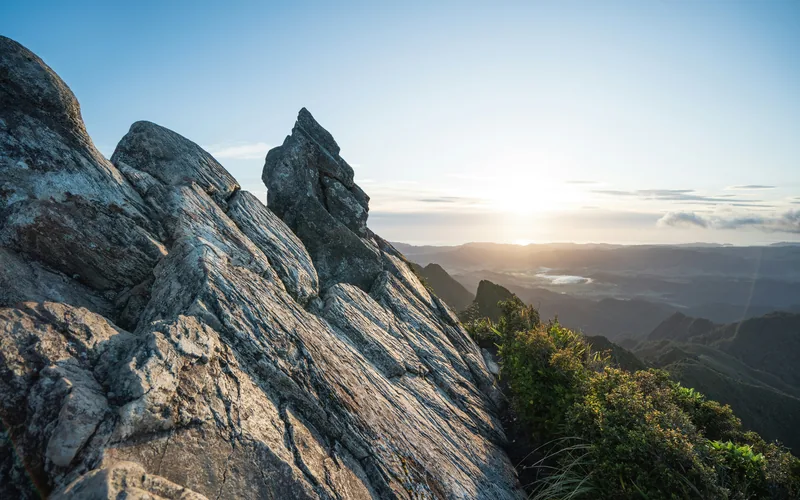 Hiking boots on a New Zealand alpine track
